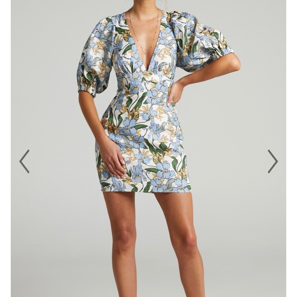 Showpo. Dresses & Skirts - Showpo Amalie the Label Bodycon Mini Dress